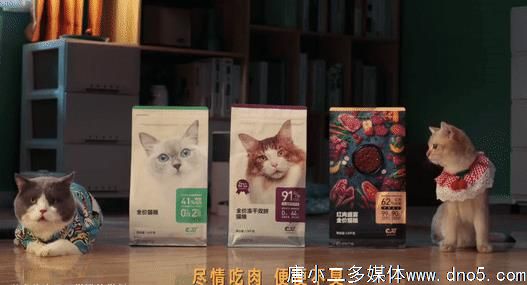 网易严选创意产品宣传片，一只喵咪当主角
