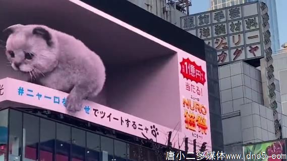 日本3D撸猫户外广告,极度逼真感带来了全新的视觉体验